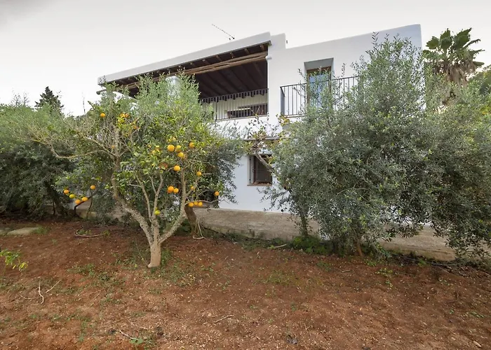 Macia Santa Eularia des Riu